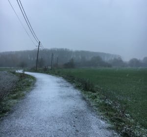 Tour du lac du héron, au départ du LudoPoney, V. D’ascq - Villeneuve-d'Ascq - 2