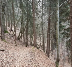 Tour du Saint-Genis et du Barley depuis le col du Barioz - Theys - 4
