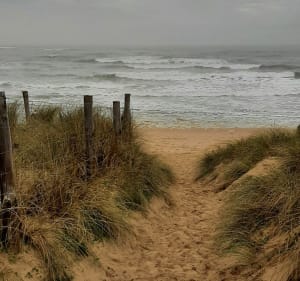 Balade plage et mi-citadine de Saint-Georges-d'Oléron - Saint-Georges-d'Oléron - 2