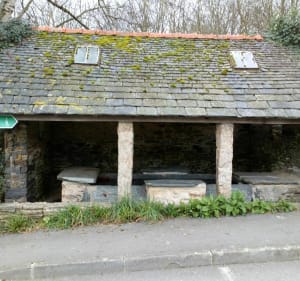 Ribin ar bleiz - Saint-Thégonnec Loc-Eguiner - 2