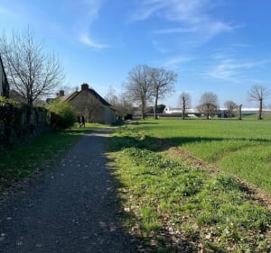 Balade entre Cesson-Sévigné et Chantepie - Cesson-Sévigné - 2