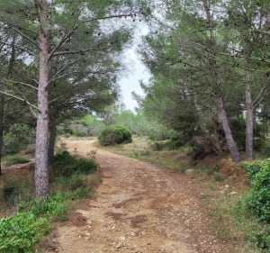 Le trou de Marrou - Gruissan - 2