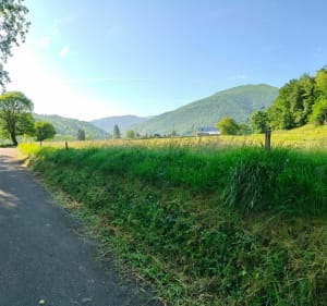 Balade entre Lestelle-bétharram et Montaut - Lestelle-Bétharram - 3