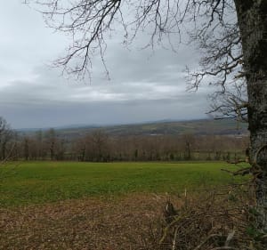 Du Causse de Recoules au bois de Prévinquières - Sévérac-d'Aveyron - 2
