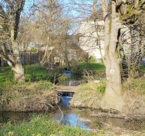 Balade de la Membrolle sur Choisille vers Fondettes - Gaëlle - 3