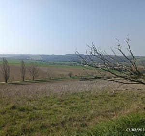 Les côteaux de Vieillevigne - Vieillevigne - 4