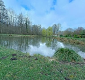 Balade sur le Chemin des Marais de Reilly - Delincourt - 2