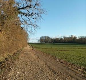 Balade des chemins entre Haironville et Brillon - Haironville - 2