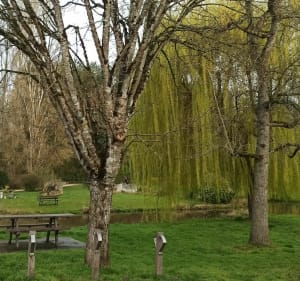 Les alentours de Saint Gondon - Saint-Gondon - 2