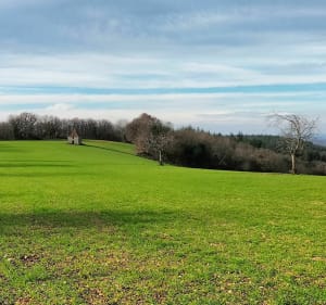 Sur le causse de Gréalou - Damien - 3