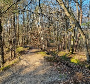 Balade à VTT en forêt d'Orléans, départ de Vrigny. - Vrigny - 2