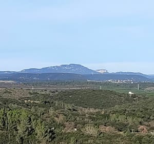 Télégraphe de Murviel-les-Montpellier - Laurence - 3