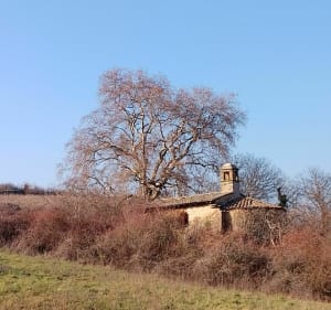 Découverte des alentours de Cogny - Alexandre - 2