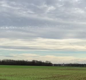 De Quiers à Nesploy puis Boiscommun par la forêt - Bellegarde - 2