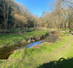 Ballade vallée du Cens-Sautron - Sautron - 2