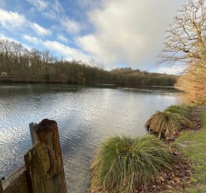 Wandelen rond de vijvers van La Minière in Guyancourt - Guyancourt - 2
