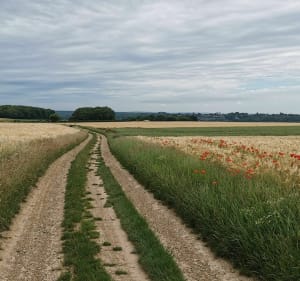 Sentier de la Haute Vallée de la Lawe - Denis - 4
