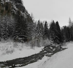 Site nordique de Peisey-Valandry - L'épinerie - Peisey-Nancroix - 3