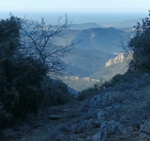 Le Vallon de l'Aigle depuis Plan-d'Aups-Sainte-Baume - Plan-d'Aups-Sainte-Baume - 2