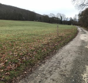 Petite balade sur le chemin blanc de Sauveterre - Sauveterre-de-Comminges - 2