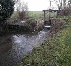 Belle randonnée auTuffe sud - Tuffé-Val-de-la-Chéronne - 2