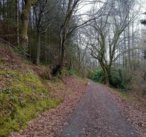 Parcours sportif au départ de Valognes - Valognes - 2
