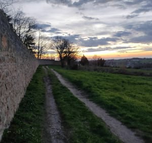 Boucle VTT Chaponost aqueduc - Chaponost - 2