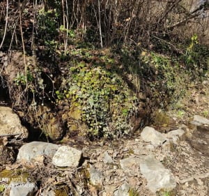 Caguerenard en boucle - Digne-les-Bains - 2