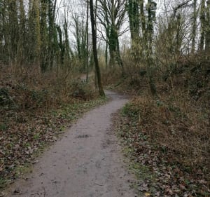 De La Comté à Beugin, parcours d'évasion - La Comté - 2