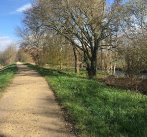 Boucle de la Guayère au bassin du petit Paris - Longpont-sur-Orge - 2