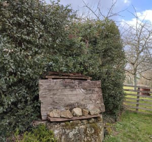 Le chien de serpentine - Vayres - 2