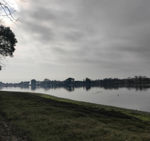 Découvrir La Forêt-Fouesnant et l'Anse de Penfoulic - La Forêt-Fouesnant - 2