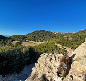 Belle balade dans les Dentelles de Montmirail - Beaumes-de-Venise - 5