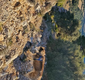 Belle balade dans les Dentelles de Montmirail - Beaumes-de-Venise - 4