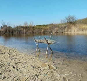 La petite Camargue à St Chamas - Eric - 4