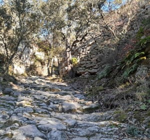Sympathique boucle entre Saint Didier et le Beaucet - Criss - 3