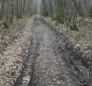 En suivant la frontière, de Cornille vers Trélissac - Cornille - 2