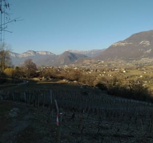 Balade avec vue panoramique montagnes de Savoie aux Marches - Aurelie - 2