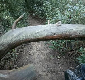 VTT Enduro, avec Les Sangliers de Bagnols sur Cèze - Bagnols-sur-Cèze - 3