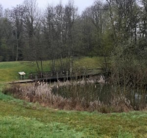 Jolie randonnée boisée forêt de Louvemont - Louvemont - 2