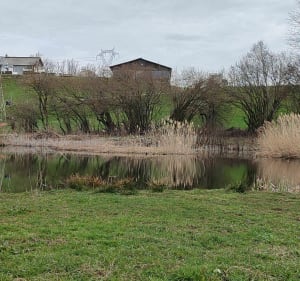 Boucle au départ de "chez les Maîtres" - Menthonnex-en-Bornes - 2