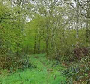 Tour de l'etang de Flagey - Flagey-lès-Auxonne - 2