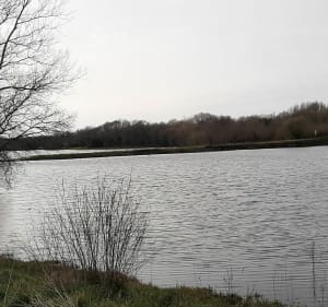 Etang du Gros Caillou - Pornic - 2