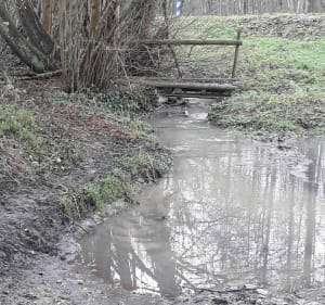 Montmirail - Ginette - 3