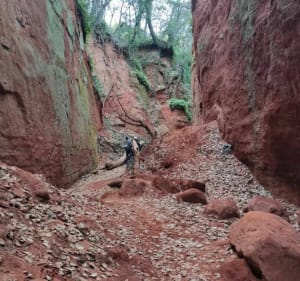 Les Ocres de Mormoiron parcours long - Mormoiron - 2