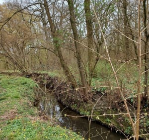 Du Parc des Sources à l'étang du Coq - Roissy-en-Brie - 2