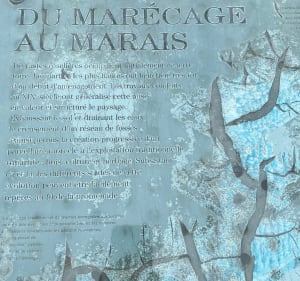 Balade du marécage au marais à Saint-Hilaire-le-Palud - Saint-Hilaire-la-Palud - 2