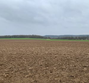 Balade dans la campagne et au bord du canal le Loing - Faÿ-lès-Nemours - 2