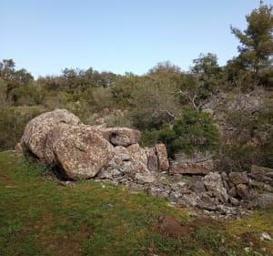 L'oppidum d'Ollioules - Noëlle - 4