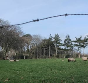 De l'étang des Costils au panorama de l'ancien hippodrome - Cherbourg-en-Cotentin - 2